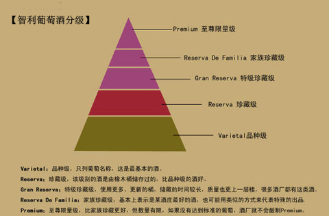 智利红酒级别划分,智利高性价比红酒推荐