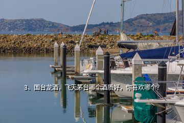 3、国台龙酒，飞天茅台哪个酒质好，你喜欢哪个？