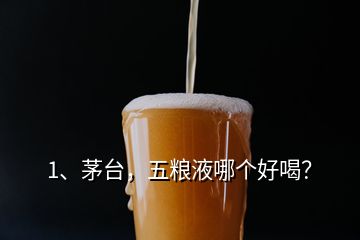 1、茅台，五粮液哪个好喝？