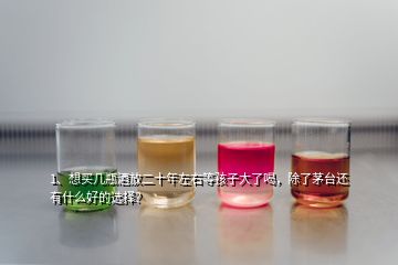 1、想买几瓶酒放二十年左右等孩子大了喝，除了茅台还有什么好的选择？