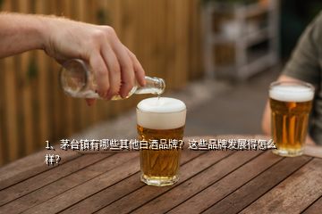 1、茅台镇有哪些其他白酒品牌？这些品牌发展得怎么样？