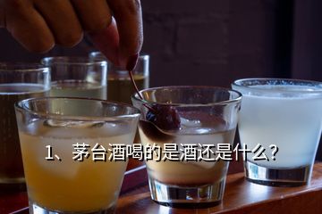 1、茅台酒喝的是酒还是什么？