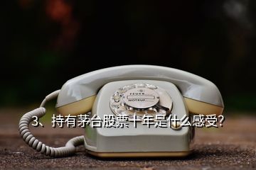 3、持有茅台股票十年是什么感受？