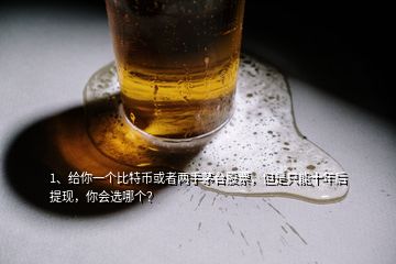 1、给你一个比特币或者两手茅台股票，但是只能十年后提现，你会选哪个？