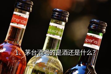 1、茅台酒喝的是酒还是什么？