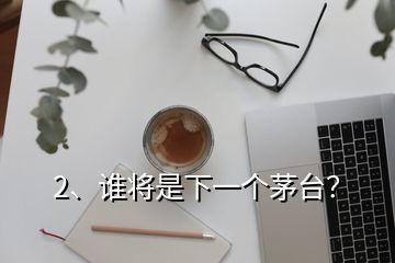 2、谁将是下一个茅台？