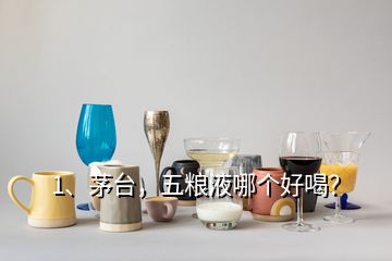 1、茅台，五粮液哪个好喝？