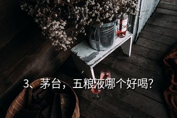 3、茅台，五粮液哪个好喝？