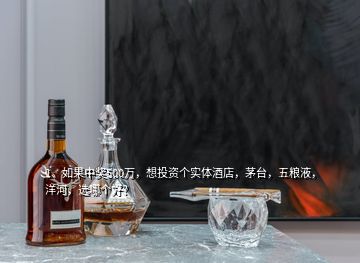 1、如果中奖500万，想投资个实体酒店，茅台，五粮液，洋河，选哪个好？