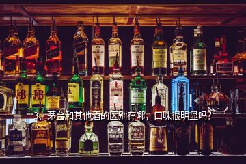 3、茅台和其他酒的区别在哪，口味很明显吗？