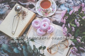 1、雷总此行来茅台目的是是什么？小米会成为茅台的营销新渠道吗？