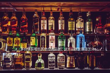 2、茅台镇有哪些其他白酒品牌？这些品牌发展得怎么样？