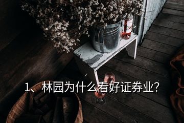 1、林园为什么看好证券业？