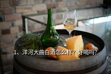 1、洋河大曲白酒怎么样？好喝吗？