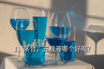 1、茅台，五粮液哪个好喝？