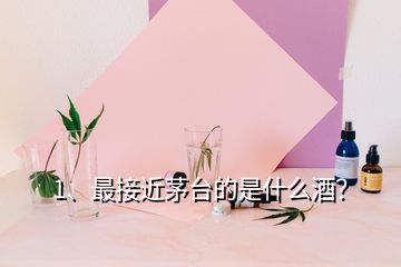 1、最接近茅台的是什么酒？