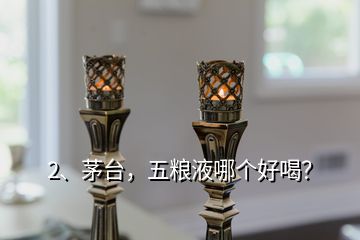 2、茅台，五粮液哪个好喝？