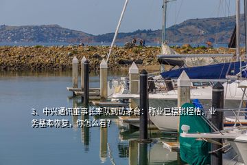 3、中兴通讯董事长率队到访茅台：称业已摆脱桎梏，业务基本恢复，你怎么看？