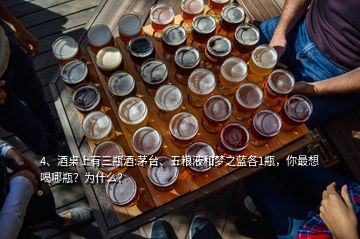 4、酒桌上有三瓶酒:茅台、五粮液和梦之蓝各1瓶，你最想喝哪瓶？为什么？