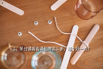 1、茅台镇酱香酒品牌这么多，哪个好一点？