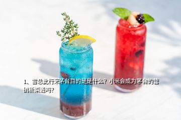 1、雷总此行来茅台目的是是什么？小米会成为茅台的营销新渠道吗？