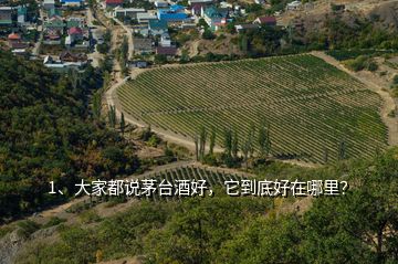 1、大家都说茅台酒好，它到底好在哪里？