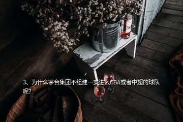 3、为什么茅台集团不组建一支进入CBA或者中超的球队呢？