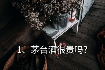 1、茅台酒很贵吗？