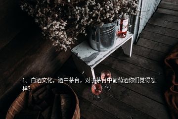 1、白酒文化，酒中茅台，对于茅台中葡萄酒你们觉得怎样？