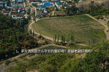 1、茅台酒到底什么年份的最好喝？是越老越好喝吗？