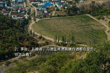 2、茅台，五粮液，习酒生肖酒高端白酒都在提价，你怎么看？