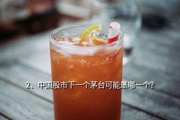 2、中国股市下一个茅台可能是哪一个？