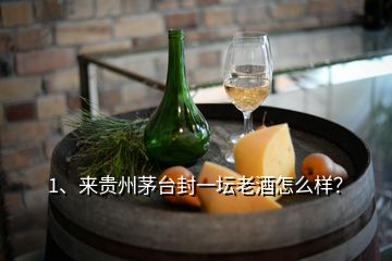 1、来贵州茅台封一坛老酒怎么样？