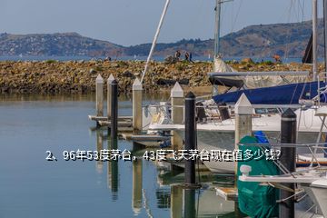 2、96年53度茅台，43度飞天茅台现在值多少钱？