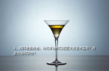 3、同样是酱香酒，为何茅台的口感层次就更丰富呢？对此你如何评价？