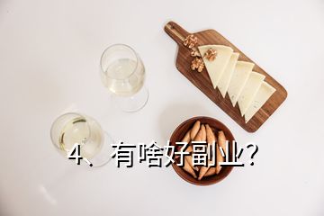 4、有啥好副业？