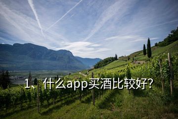 1、什么app买酒比较好？