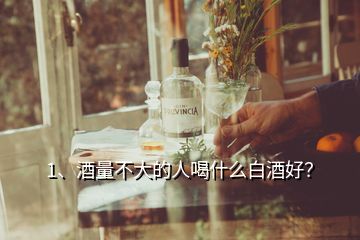 1、酒量不大的人喝什么白酒好？