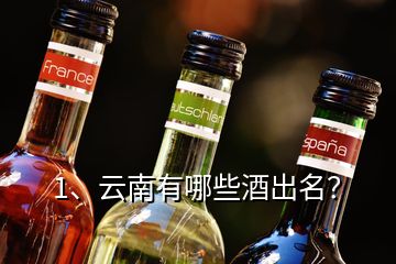 1、云南有哪些酒出名？