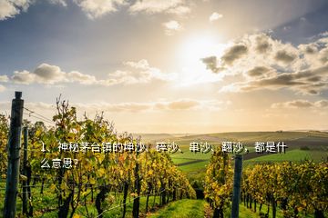 1、神秘茅台镇的坤沙、碎沙、串沙、翻沙，都是什么意思？