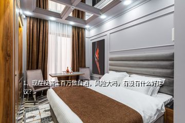 1、现在投资二百万做白酒，风险大吗，有没有什么好建议？