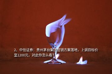 2、中信证券：贵州茅台集团营销方案落地，上调目标价至1200元，对此你怎么看？