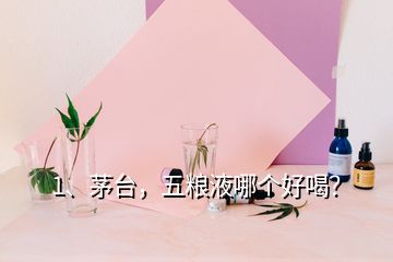 1、茅台，五粮液哪个好喝？