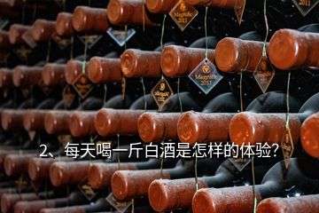 2、每天喝一斤白酒是怎样的体验？