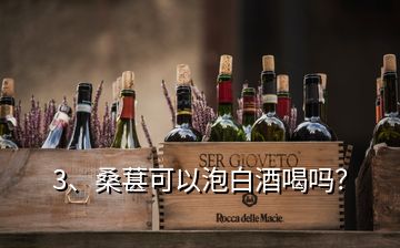 3、桑葚可以泡白酒喝吗？