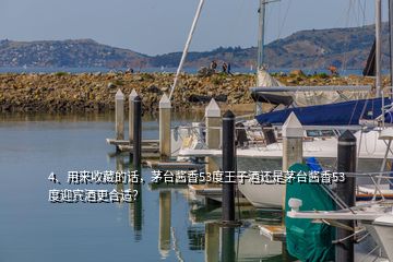 4、用来收藏的话，茅台酱香53度王子酒还是茅台酱香53度迎宾酒更合适？