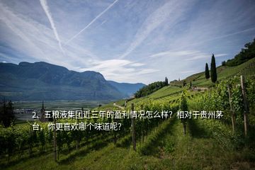 2、五粮液集团近三年的盈利情况怎么样？相对于贵州茅台，你更喜欢哪个味道呢？