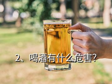 2、喝酒有什么危害？