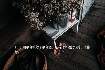 1、贵州茅台镇除了茅台酒，还有什么酒比较好，求推荐？