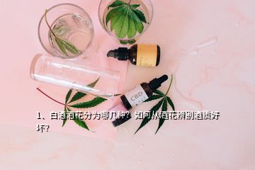 1、白酒酒花分为哪几种？如何从酒花辨别酒质好坏？